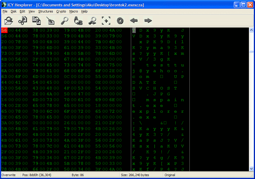 Tampilan Hex Editor ketika membuka virus